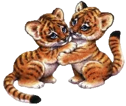 Dva tygříci